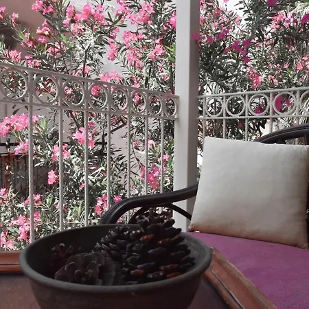 Bed and breakfast Smyrna 3*