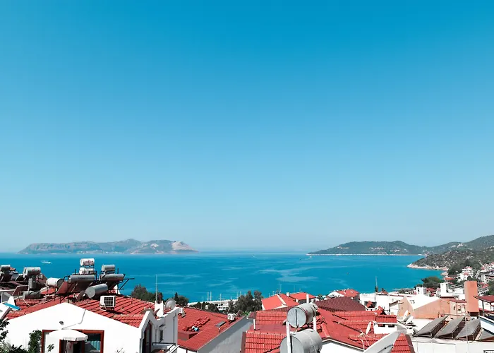 Bed & Breakfast Smyrna